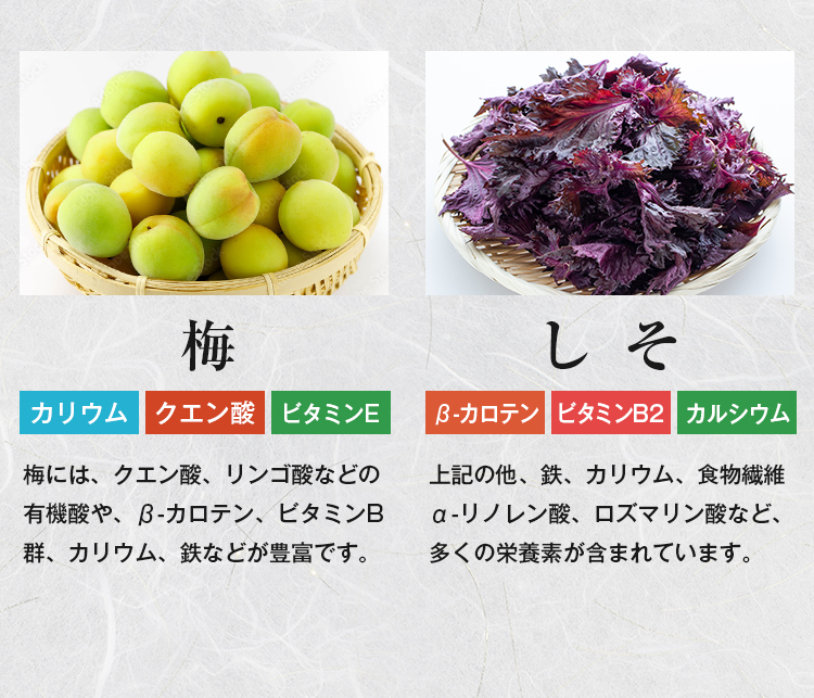 井上商店 ふりかけ 選べる 3袋 梅ひじき しそわかめ しそひじき ソフト