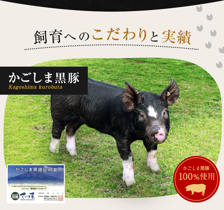 肉 豚肉 黒豚 かごしま黒豚 焼肉用 500g 鹿児島県産 豚バラ スライス 