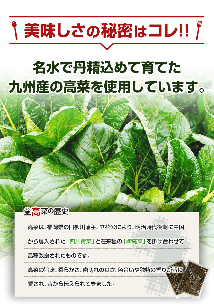 美味しさの秘密はこれ！名水で丹精込めて育てた九州山の高菜を使用しています。