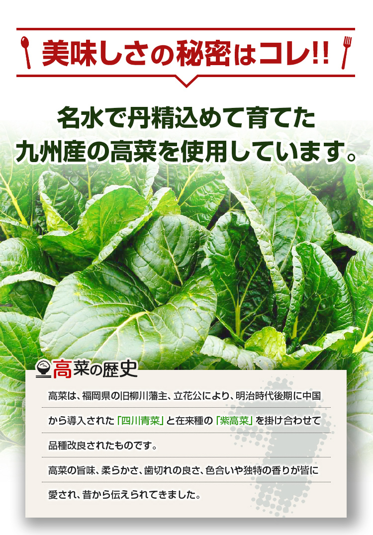 美味しさの秘密はこれ！名水で丹精込めて育てた九州山の高菜を使用しています。