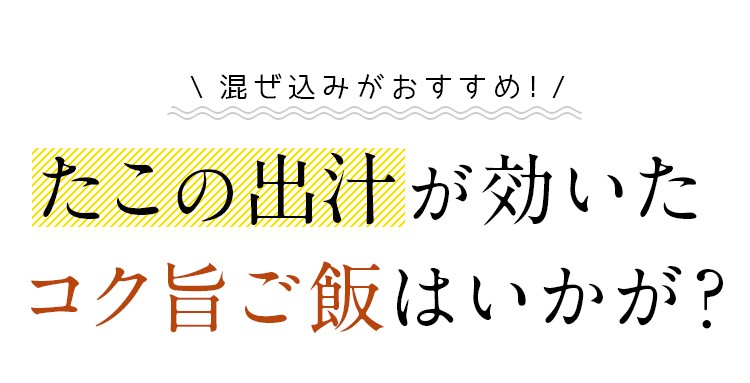 たこめしの素 2袋