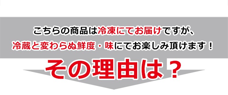 とらふぐ刺身・とらふぐ鍋セット 3〜4人前