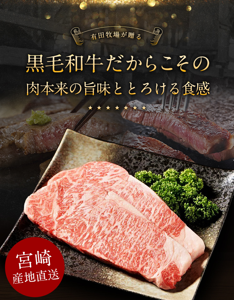 黒毛和牛 サーロインステーキ 九州産 300g (150g×2枚) セット 有田牧場