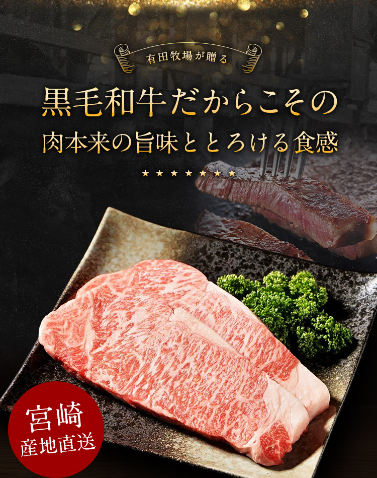 黒毛和牛 サーロインステーキ 九州産 300g (150g×2枚) セット 有田牧場