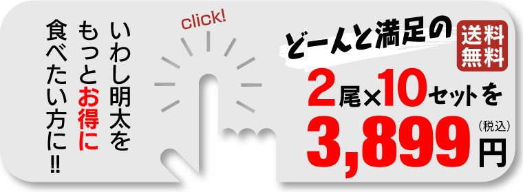 いわし明太 2尾×10セット 3,899