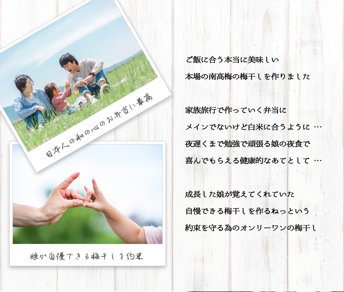うめぼし ハチミツ よりご飯にあう 通販 送料無料 はちみつ梅 よりご飯にあう おすすめ SHIFUKU