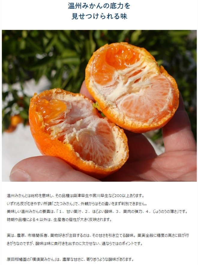柑橘の鬼たちがつくる八幡浜産・温州みかん8kg[家庭用]【C56-17