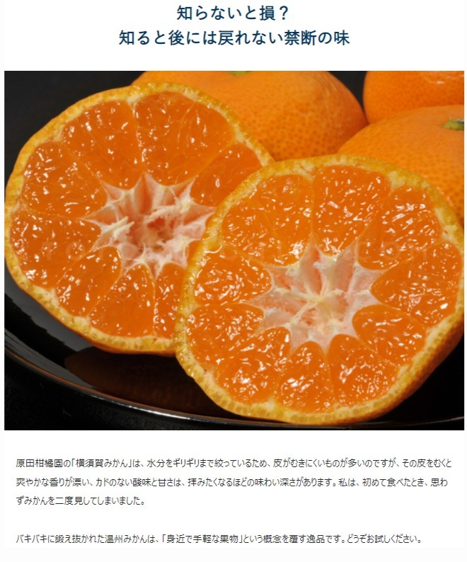 原田柑橘園の横須賀みかん』 神奈川県産 赤秀品 風袋込 約5kg 2S