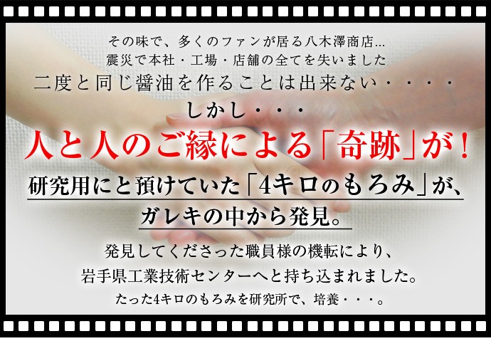 しょうゆ 醤油 調味料 八木澤商店 奇跡の醤 (ひしお) 500ml×2本 ギフト