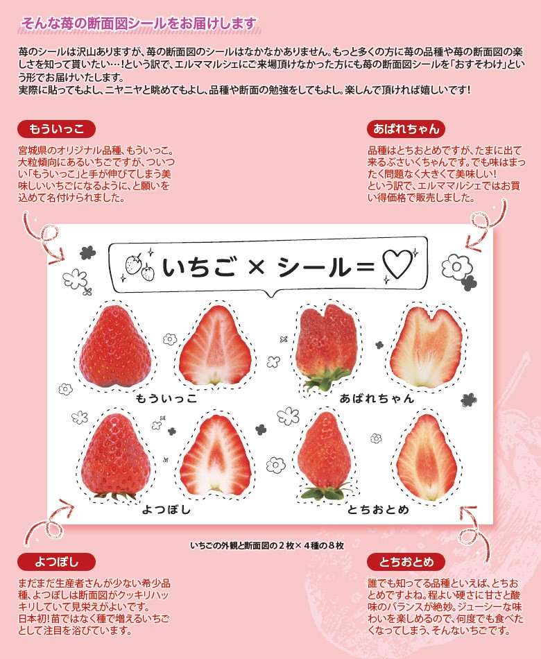 業務用 かわいい いちご断面図シールセット 100枚入り 佐川急便 送料無料 1z いただきマルシェ 通販 Yahoo ショッピング