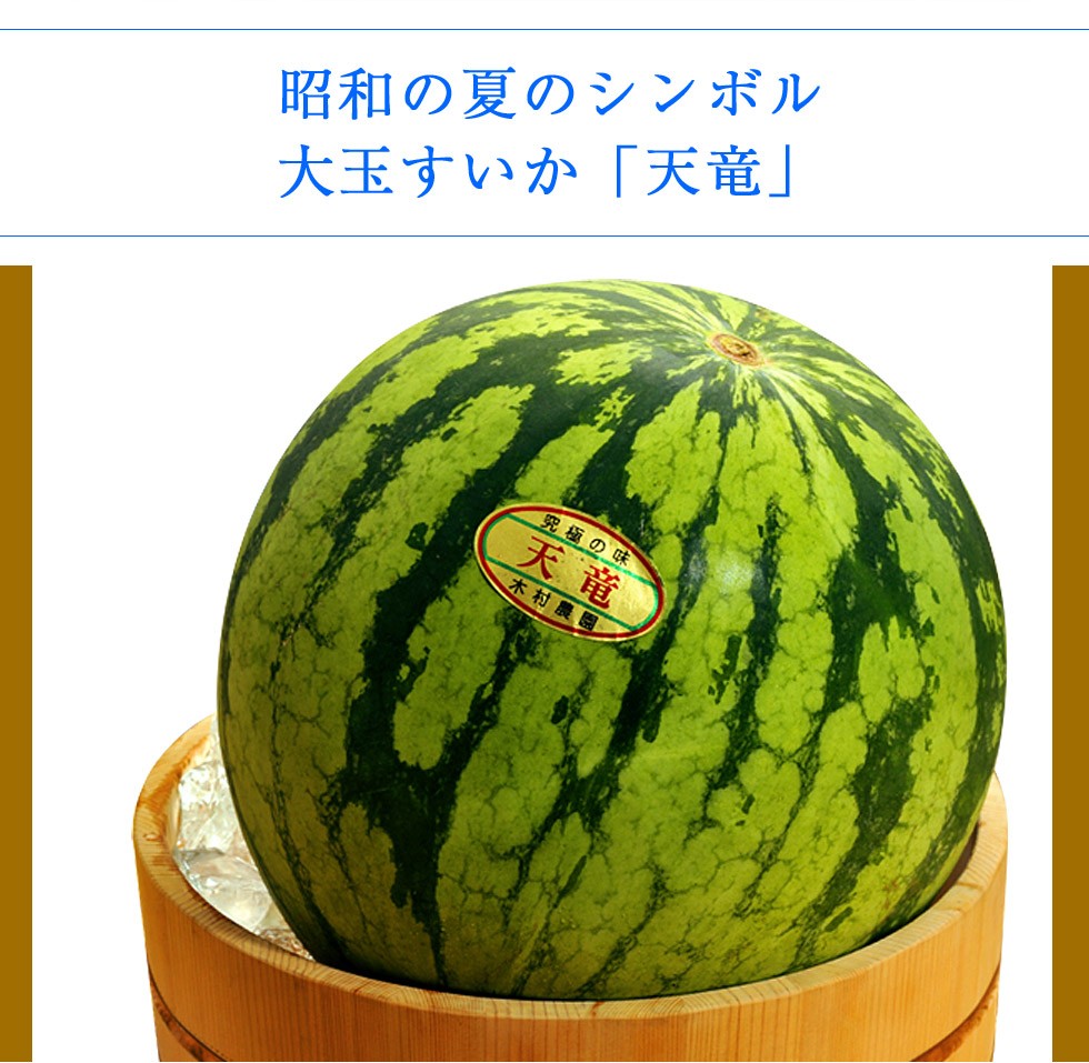 神奈川産 木村さんの天竜すいか 秀品 1玉 4 6l 約9 12kg 冷蔵 3a 豊洲からの直送便 ヤフー店 通販 Yahoo ショッピング 神奈川産 木村さんの天竜すいか 秀品 1玉 4 6l 約9 12kg 冷蔵 3a 豊洲からの直送便 ヤフー店 通販 Yahoo ショッピング