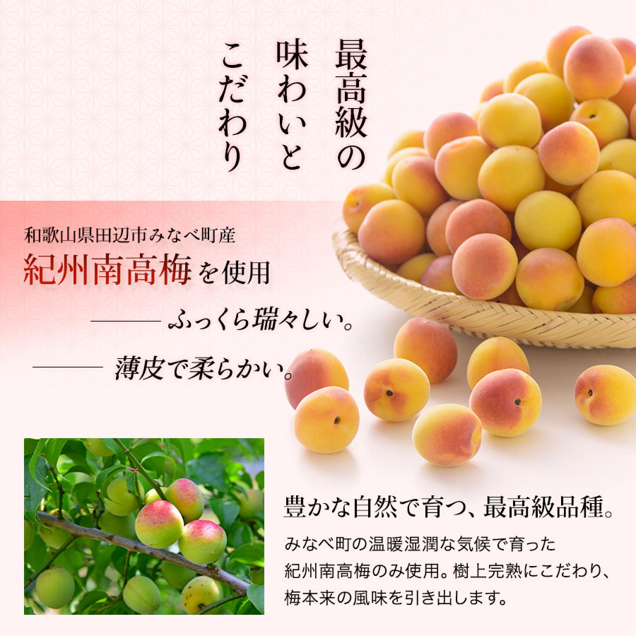 梅干し 小粒 はちみつ梅干し 塩分4% 250g うめぼし 紀州南高梅 減塩 はちみつ漬け つぶれ 送料無料 一部地域 対象外 梅一幸 :  kotsu-hachimitsu4-500 : 梅一幸 - 通販 - Yahoo!ショッピング