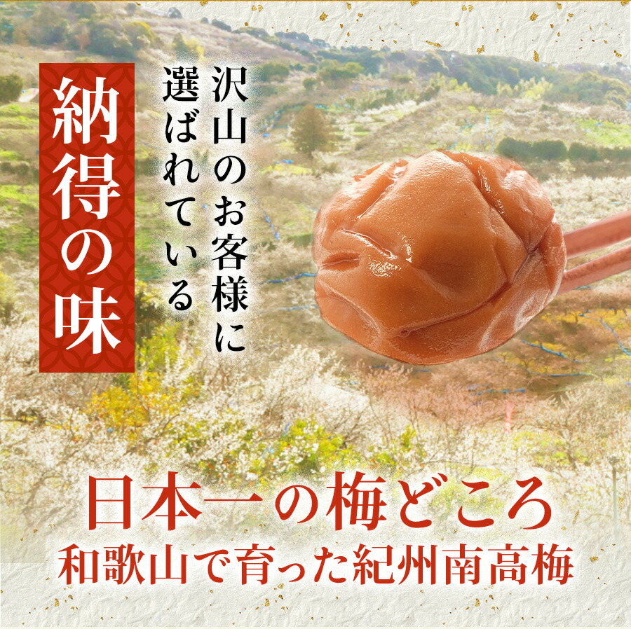 国産はちみつ つぶれ 梅干し 800g