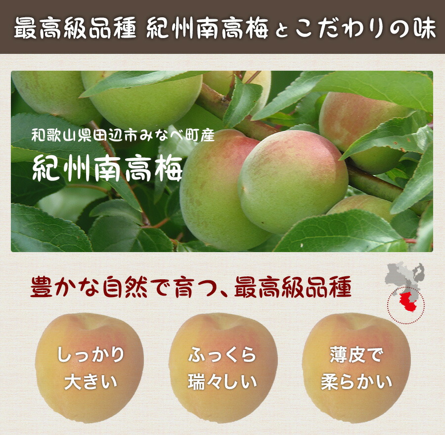 【無添加4.5kg】天日塩と梅だけの紀州南高梅 無添加4.5kg】天日塩と梅だけの紀州南高梅 - Other Processed