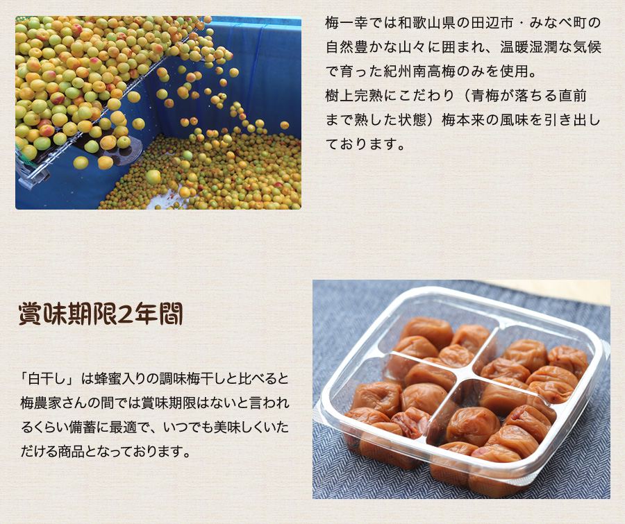 梅干し 無添加 塩分18% 800g(400g×2) うめぼし 紀州南高梅