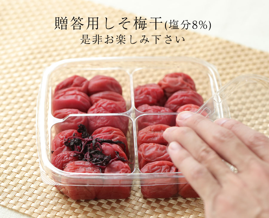 zou_shiso8_450_08.jpg