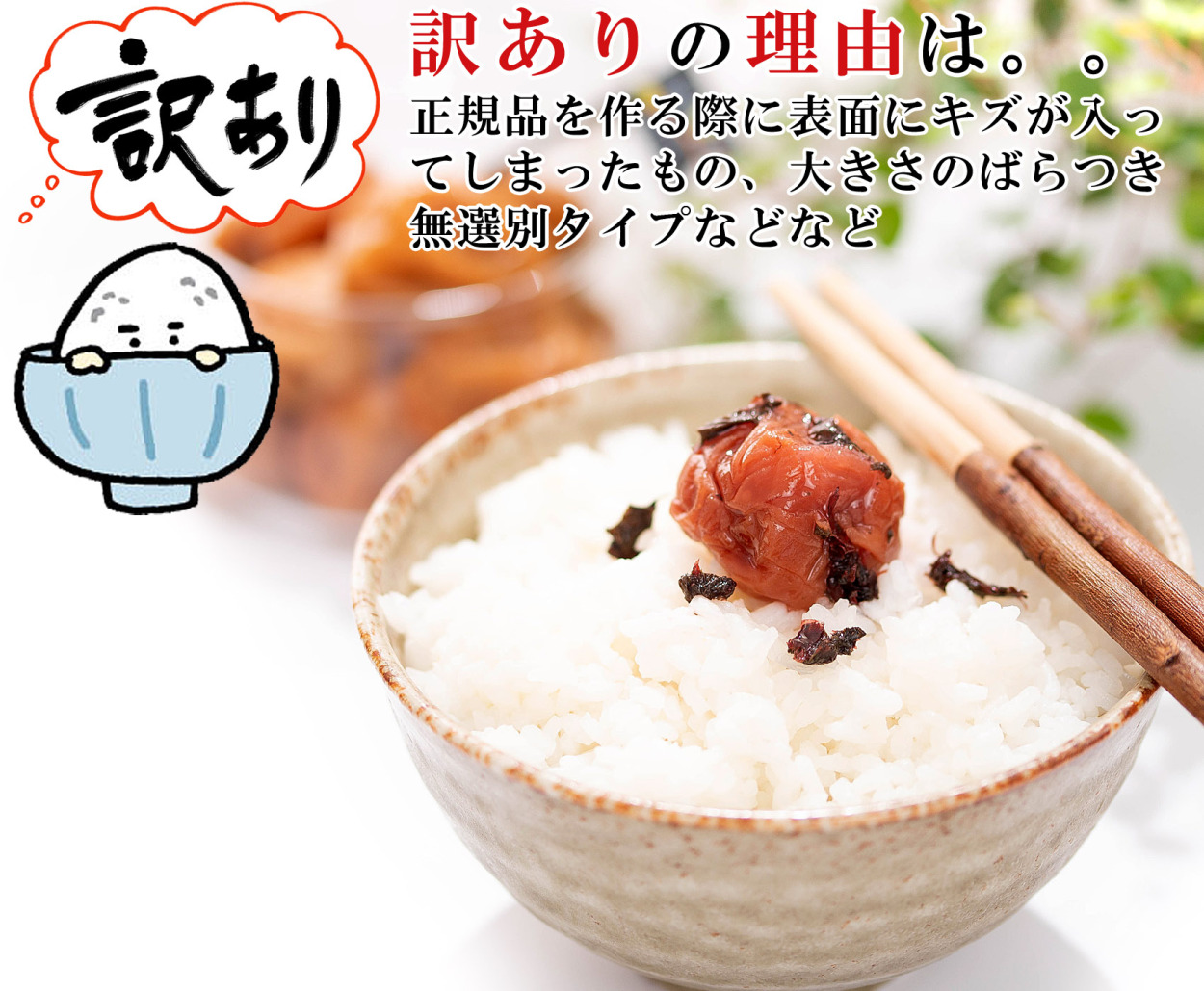 梅干し しそ漬け かつお梅 訳あり 2kg(400g×5個) 紀州南高梅（ 塩分10