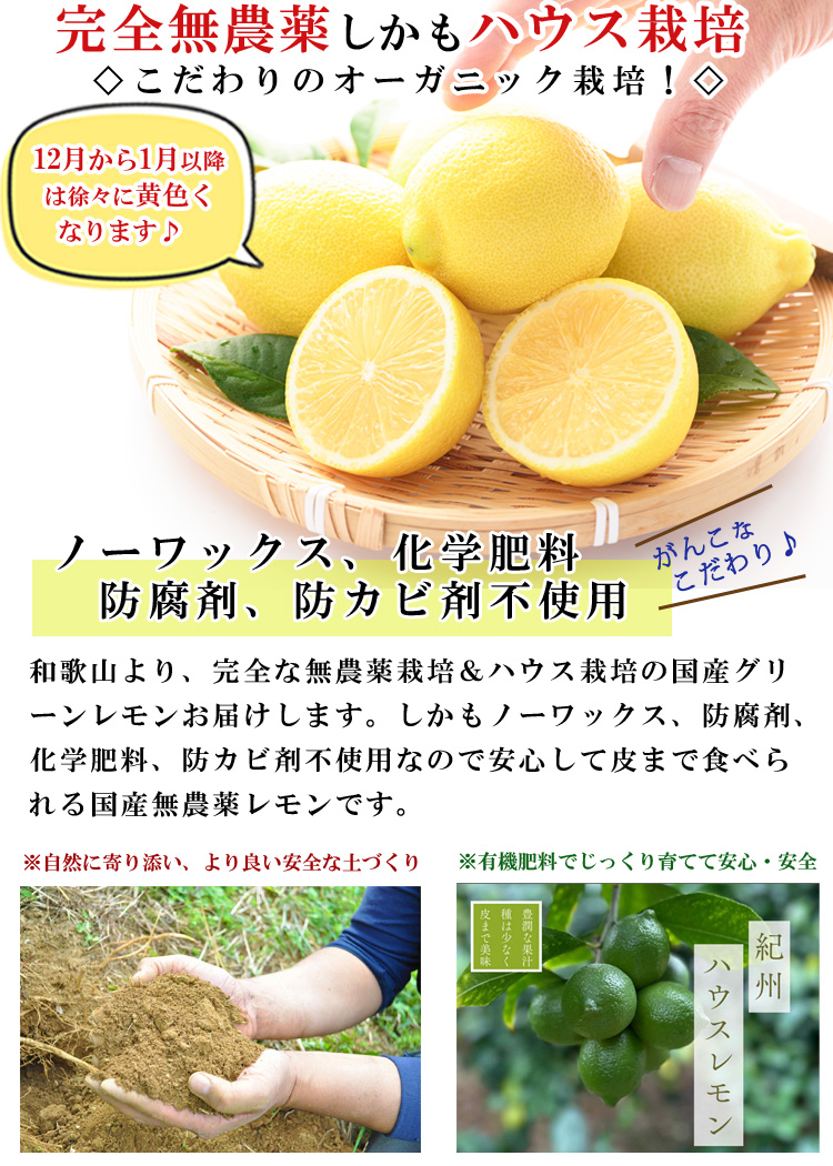 グリーンレモン ハウス栽培 特徴