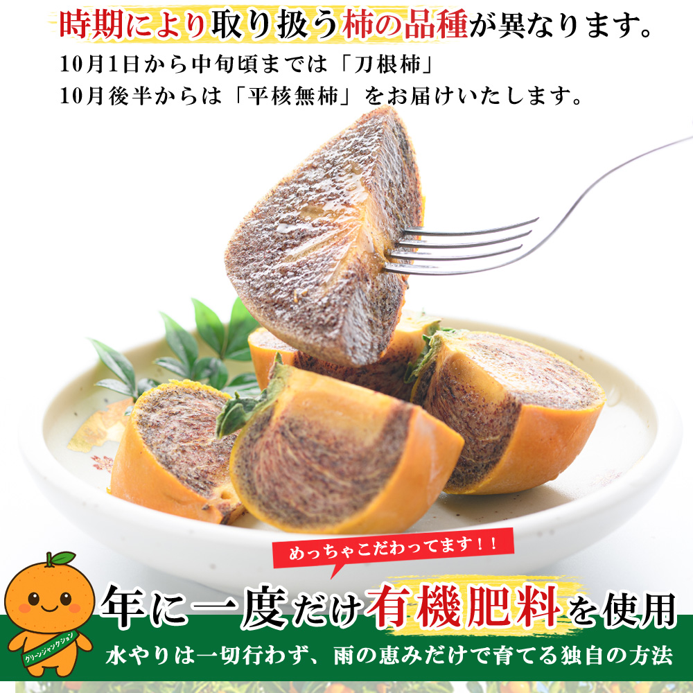柿 和歌山県産 紀ノ川柿 ブラックスター ギフト専用 2個入り（ 黒星柿
