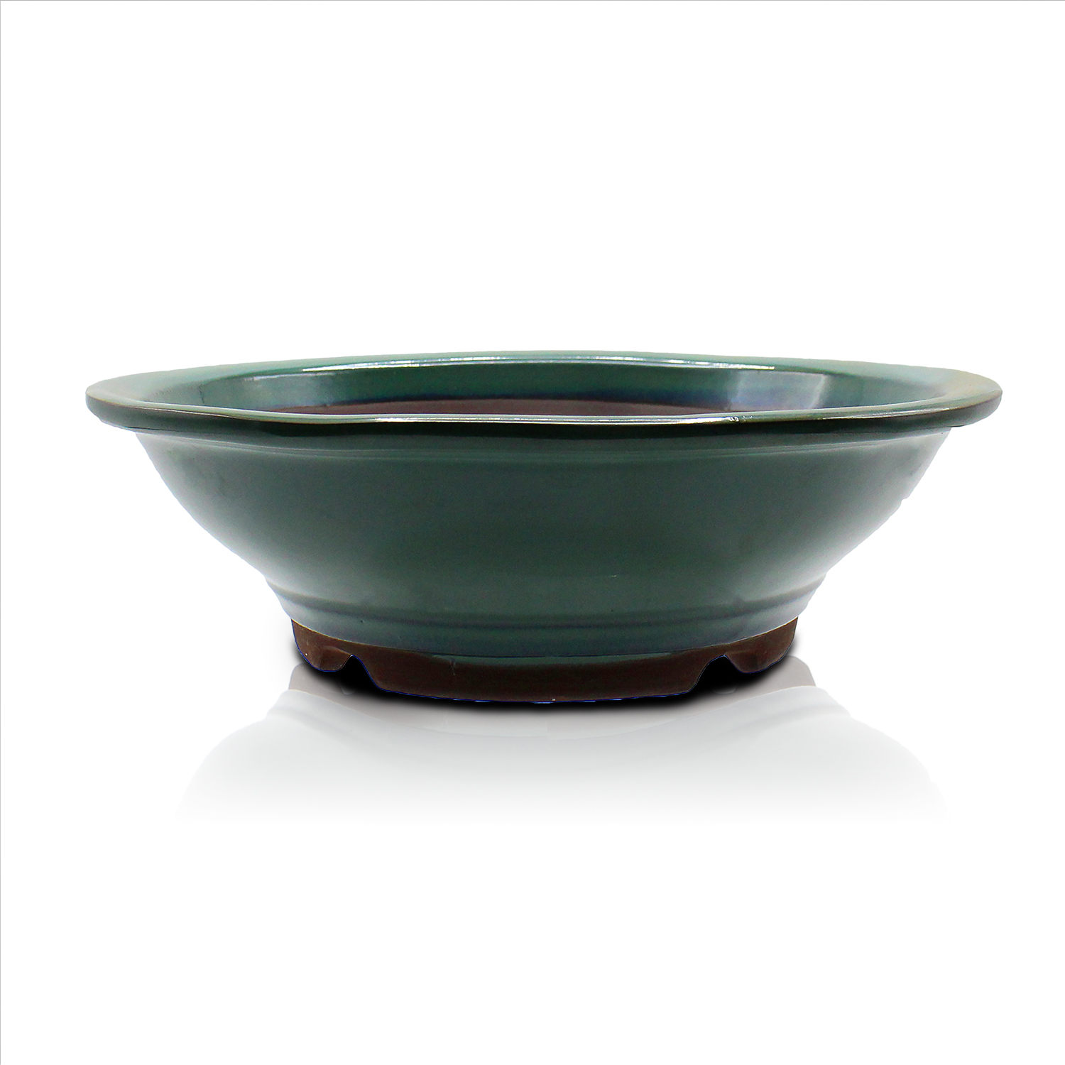 盆栽鉢 陶器 8号 丸陣笠鉢 おしゃれ 専門店 白 水色 青 緑 四色展開
