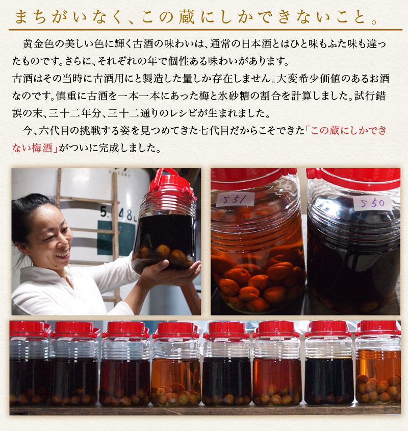 達磨正宗 ビンテージ梅酒1975年 昭和50年 200ml 白木恒助商店／岐阜県