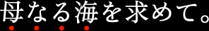 亀の海 旨口純米【土屋酒造／長野県】