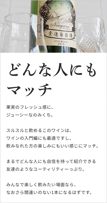 金徳葡萄酒 ナイアガラ 750ml【河内ワイン／大阪府】【クール便推奨】【日本ワイン】 :1603-13-0750:梅酒屋 - 通販 -  Yahoo!ショッピング