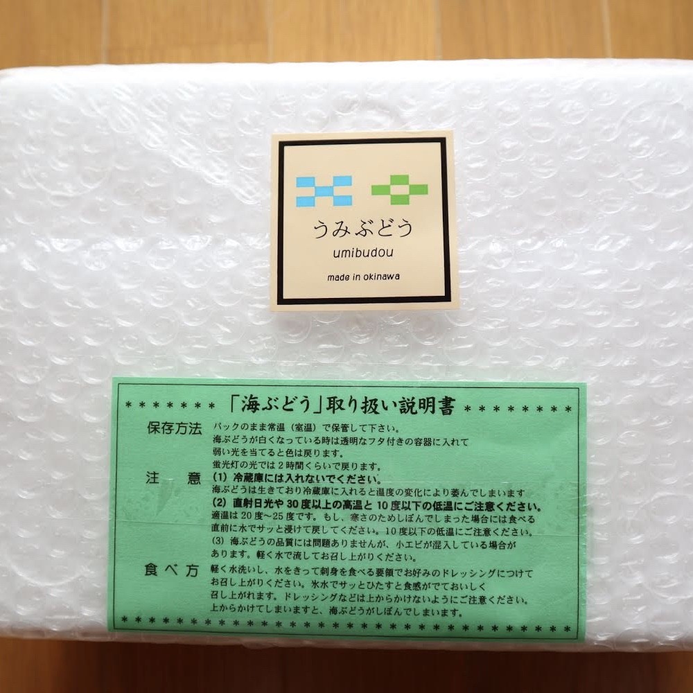 生！海ぶどうドーンと1kg (茎付き)タレ付き☆生産者が送る“鮮度抜群”海