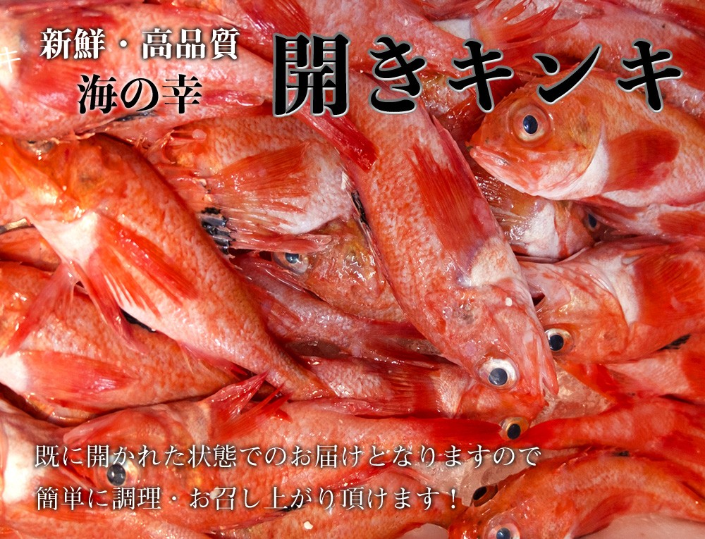 キンキ 開き 特大サイズ 高級魚 吉次 味わい深い濃厚な旨味 一汐キンキ