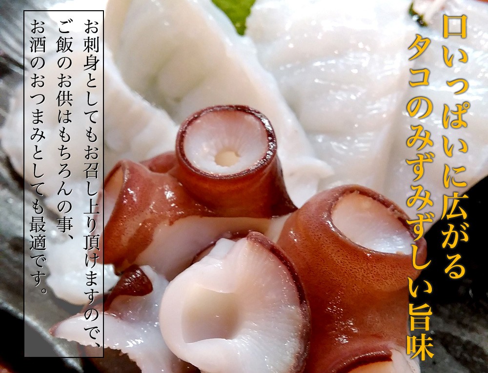 タコ 刺身用 北海道産 大きなタコ足を1本そのまま 刺身 たこ焼き 蛸 大サイズ タコ 約1kg :Y290401:海夢 - 通販 -  Yahoo!ショッピング