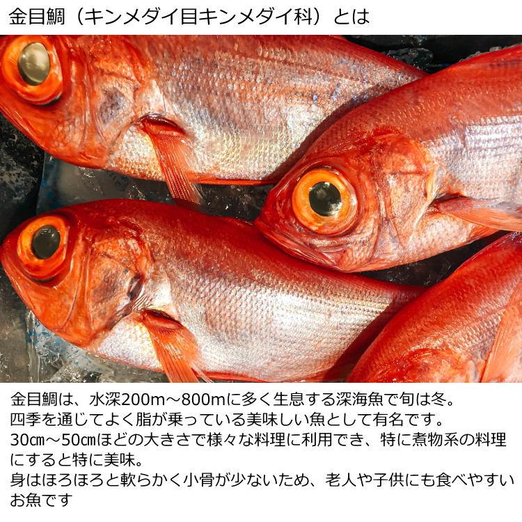 天皇海山の金目鯛（キンメダイ）水煮缶詰１缶｜uminekotayori｜03