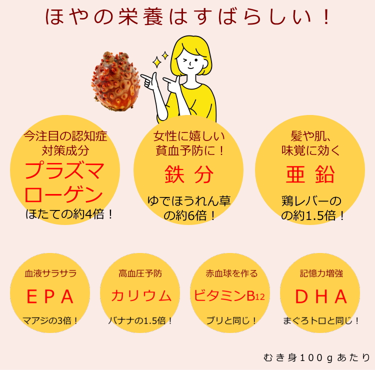 送料無料 蒸しほやアルミパック 30g 1個 三陸名産ほや 無添加 無着色 おつまみ 珍味 ほや汁 お酒のおとも 肴 ネコポス 海産物 ポスト投函 :no016:青森グルメとプリント菓子の海翁堂 通販 乾燥ほや 15g×3袋 小野寺商店 宮城県 東北 復興支援 おつまみ 珍味 土産 栄養豊富 亜鉛・鉄分など栄養豊富 送料無料