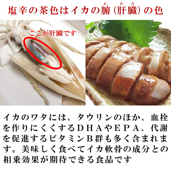 イカの腑の部位