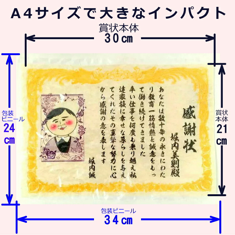 食べられる感謝状 表彰状 賞状 お魚シートa4サイズ 特別なお菓子を簡単に特注で作成 写真やイラストも一緒にプリントできる珍しいお菓子 イベント 6055 青森グルメとプリント菓子の海翁堂 通販 Yahoo ショッピング