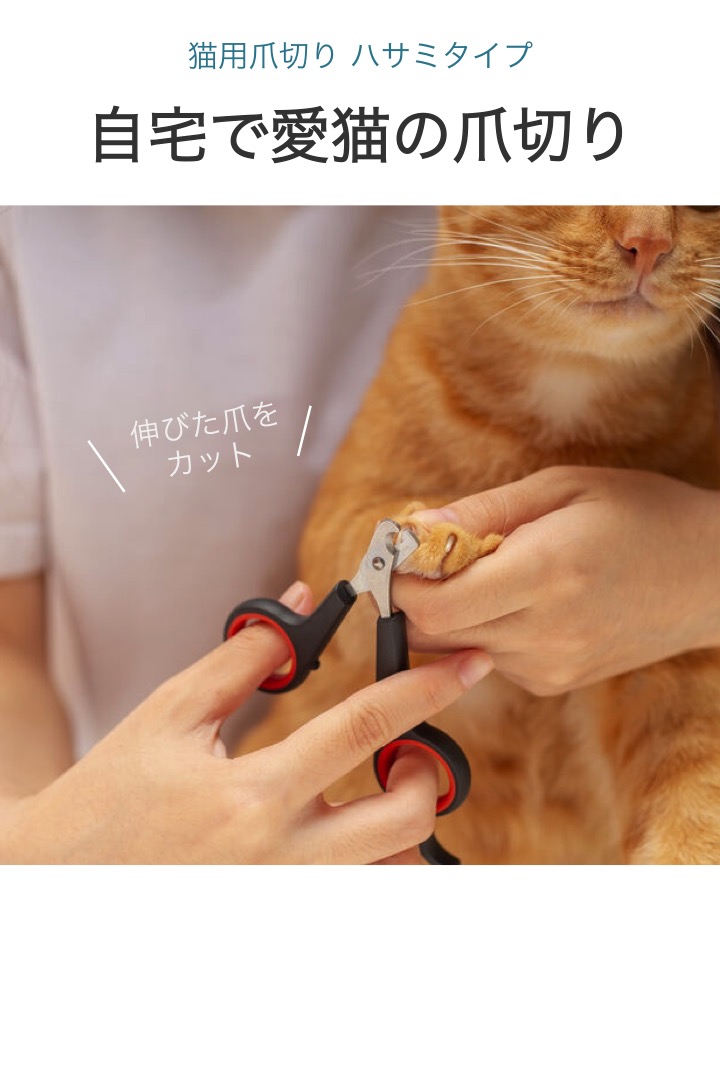 SanMori爪切り|猫専用爪切り 歯ぐきタイプ 猫用爪切り ストレスなしで切れる 猫爪切り (2mm丸穴) 通販