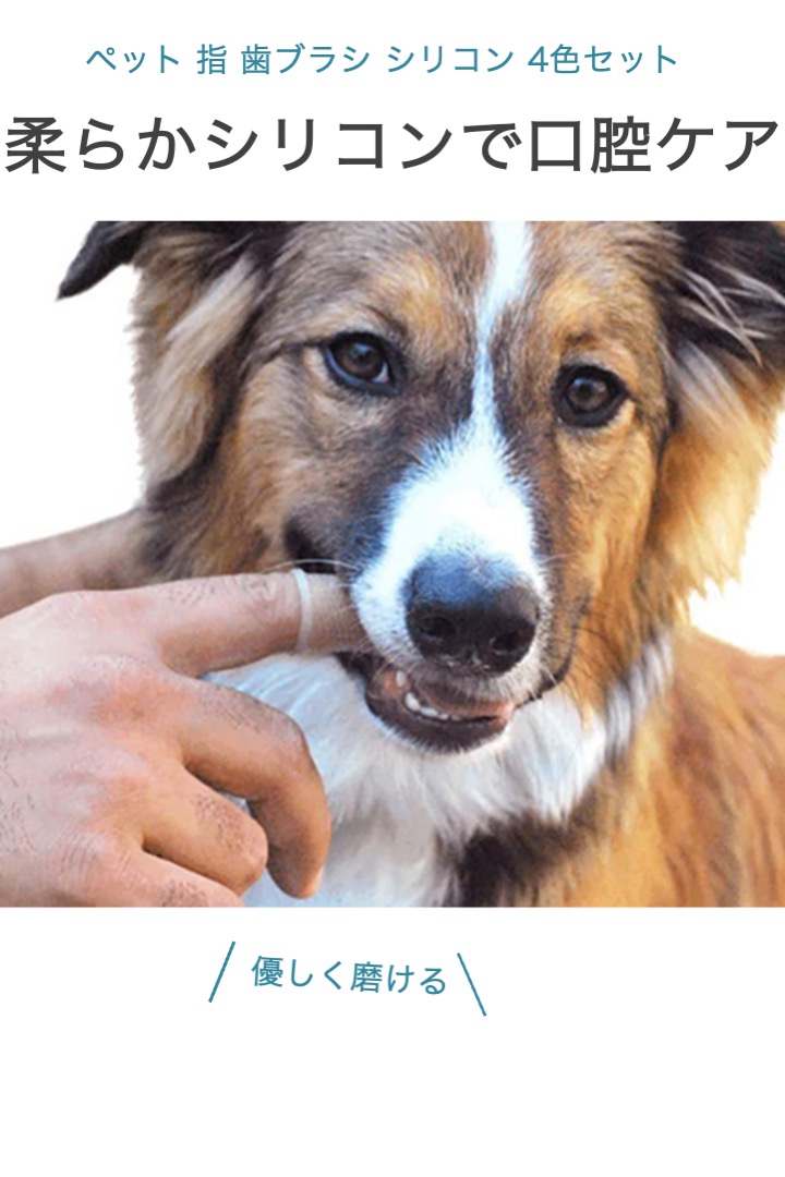 ペット 指 歯ブラシ 4色セット シリコン 指サック ソフト 口腔ケア