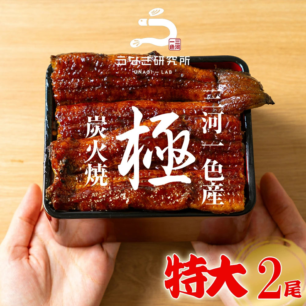 うなぎ 蒲焼き【特大(160〜170g)】 2尾 国産 三河一色産 炭火手焼き