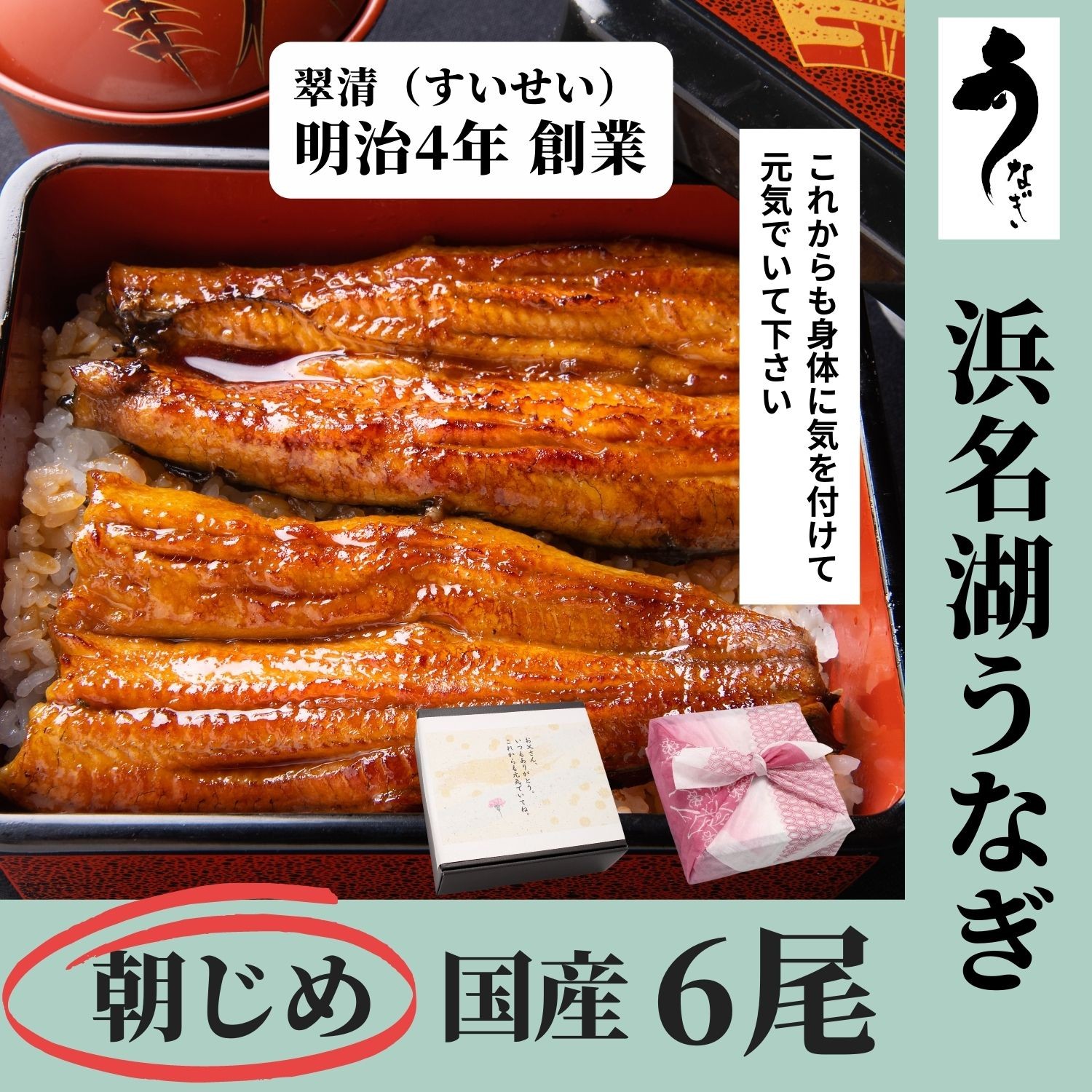 うなぎ 蒲焼 6尾 国産 鰻 ウナギ お中元 高級 人気 美味しい 浜名湖