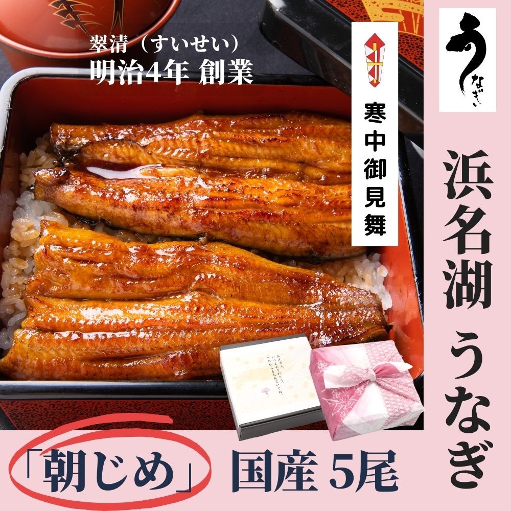 うなぎ 蒲焼 5尾 国産 鰻 ウナギ お中元 高級 人気 美味しい 浜名湖