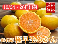 極早生みかん