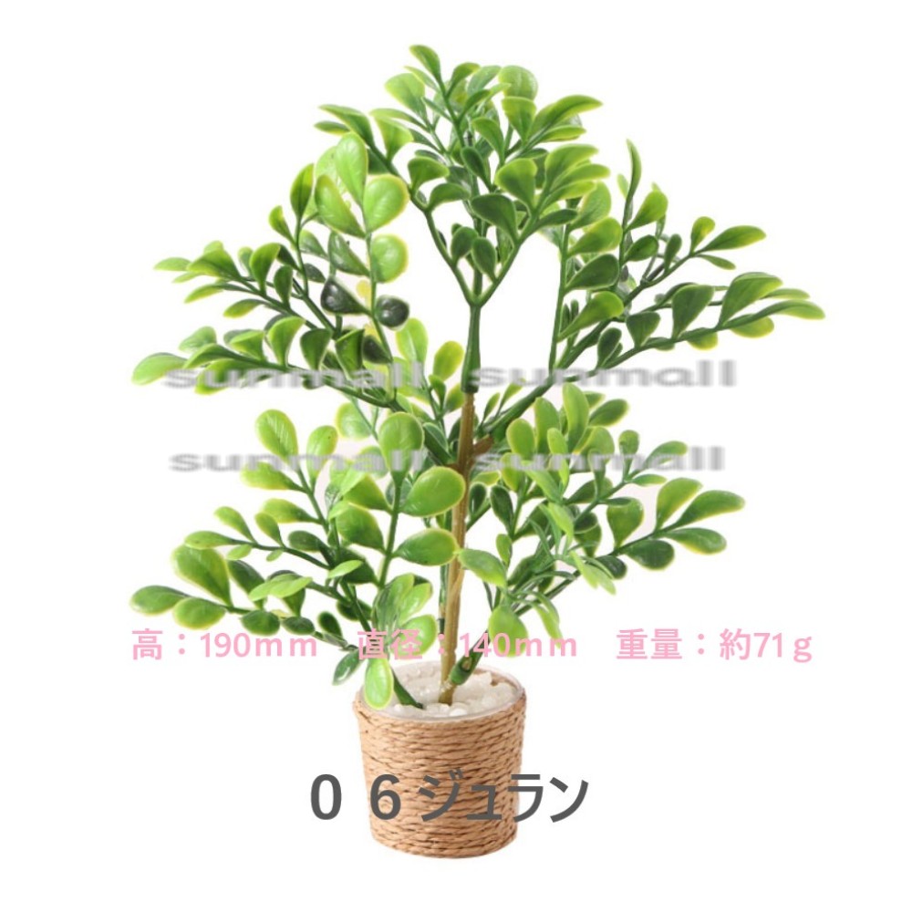 1点販売】【11種類を選べる】ミニチュア観葉植物／ドールハウス用