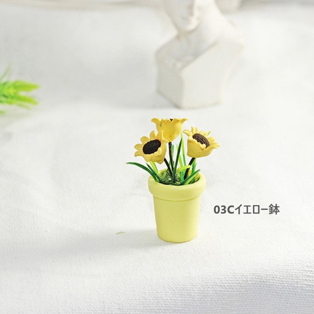 ひまわり 61a6gpmh19L._UF350,350_QL50_.jpg
