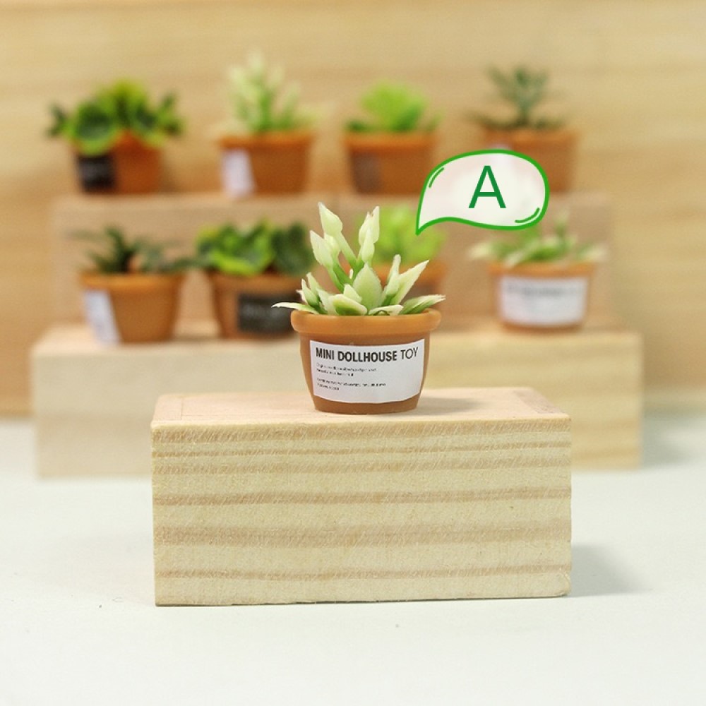 1点）ミニチュア鉢植え 観葉植物 ガーデニング グリーン 4タイプ選べる