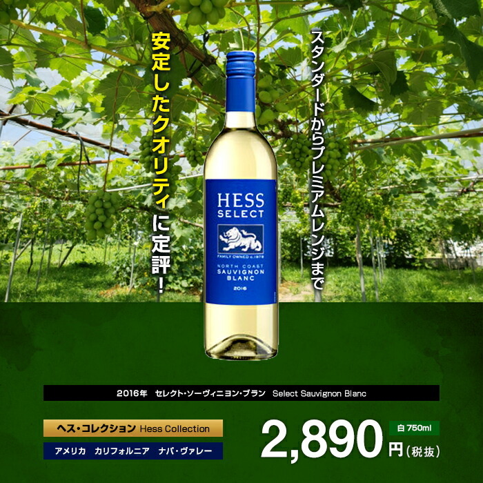 カタログギフトも！ wine ナパヴァレー カリフォルニアワイン Michael ソーヴィニヨンブラン New Pozzan マイケル ポザーン ワイン