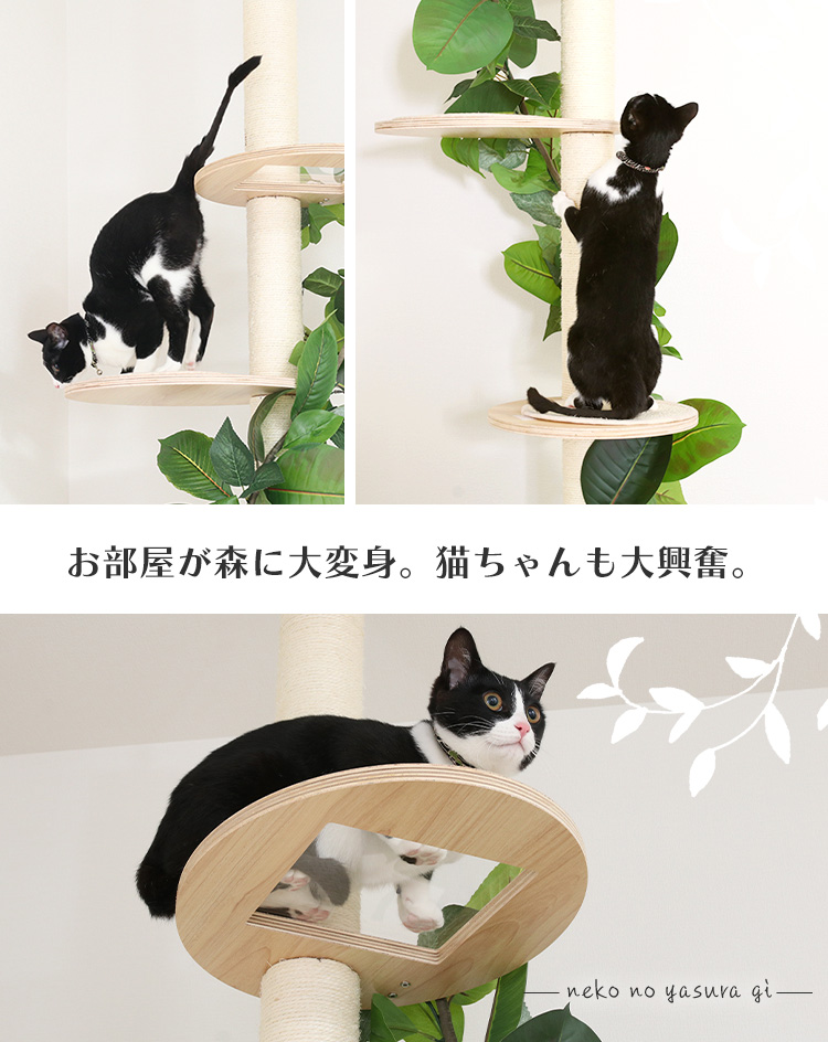 キャットタワー等猫用品8月5日まで キャットタワー 猫用品 つめとぎ ねこの休ら木 ソラ ナチュラル 58203
