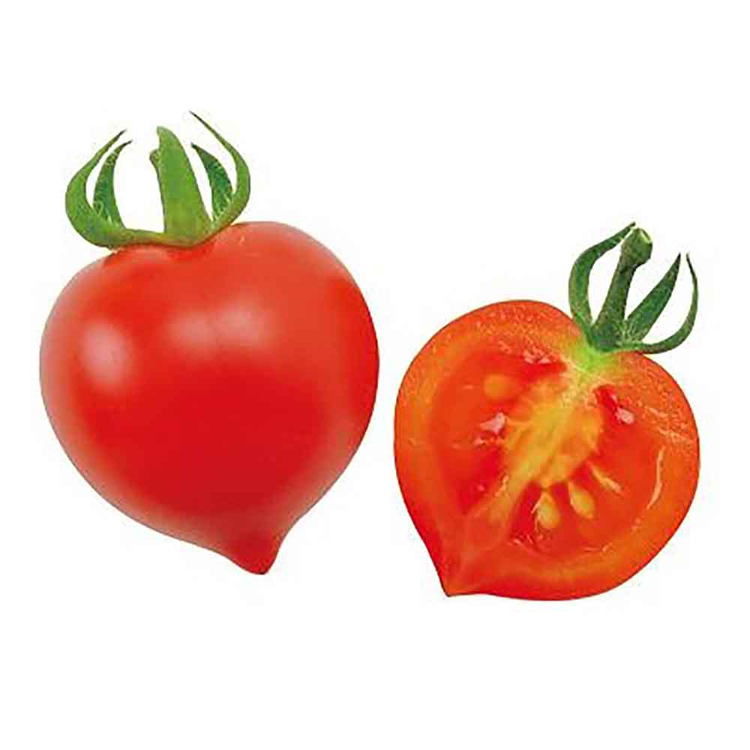 栽培キット栽培セットミニトマト聖新陶芸野菜ハートの実お料理インテリアSEISHINハートマト栽培キット 