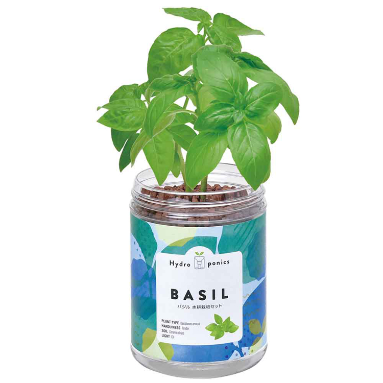 栽培キット 栽培セット 水耕栽培 聖新陶芸 SEISHIN ハーブ 野菜 ミニ