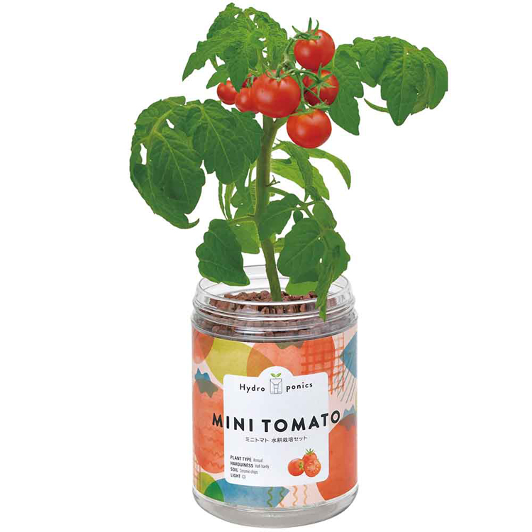 栽培キット 栽培セット 水耕栽培 聖新陶芸 SEISHIN ハーブ 野菜 ミニ