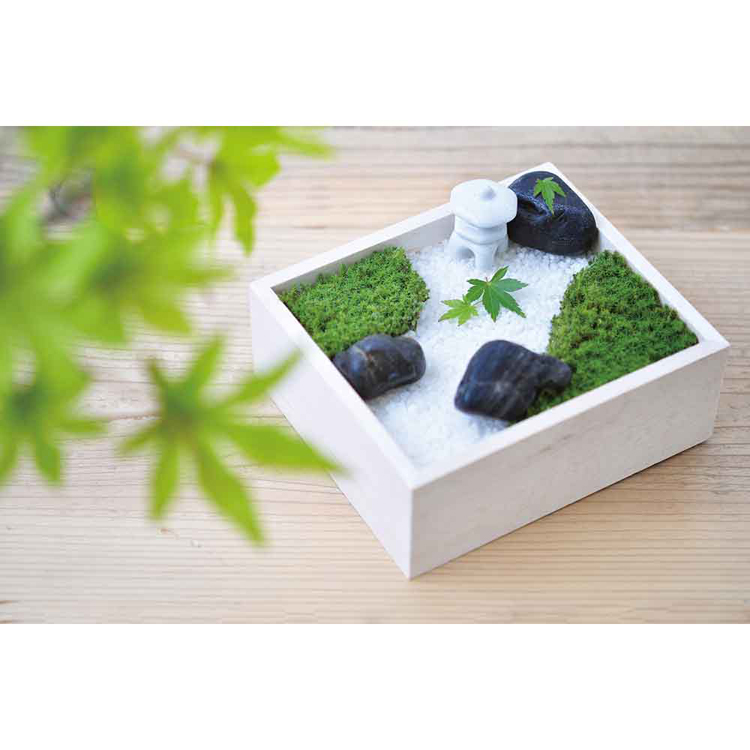 栽培キット 栽培セット 苔盆 聖新陶芸 苔 コケ 庭園 ミニ灯籠付き