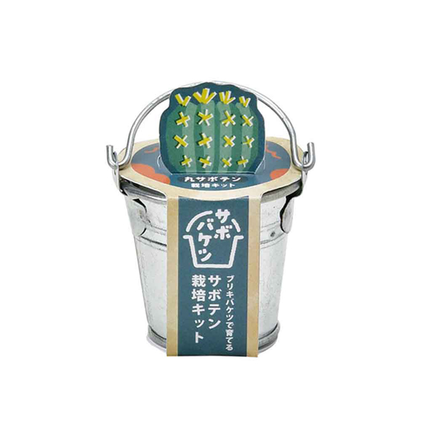 栽培キット 栽培セット サボテン 聖新陶芸 SEISHIN ブリキ製バケツ 種